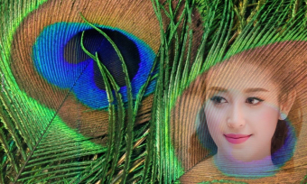 Peacock Feathers Photo Frame