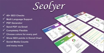 Seolyzer- Turn your Website into SEO tool