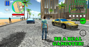 San Andreas Gangster: Real Cri