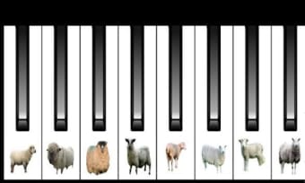 SHEEP CAT BIRD PIANO