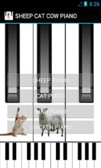 SHEEP CAT BIRD PIANO