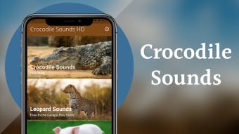 Crocodile Sounds