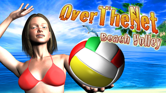 Over The Net Beach Volleyball