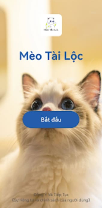 Mèo Tài Lộc