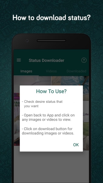 Status Story Download for WA