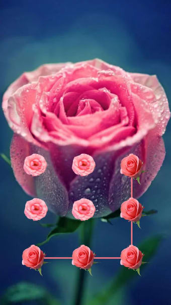 AppLock Theme Pink Rose