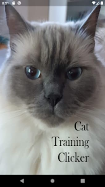 Kitty Clicker - Cat Training C