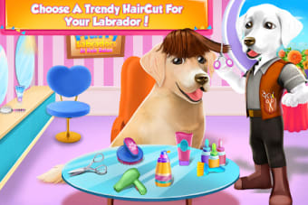 Fluffy Labradors at Hair Salon
