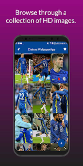 Blues Chelsea Wallpapers