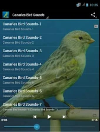 Canaries Bird Sounds