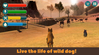 Wild Dingo Dog Survival Simulator 3D
