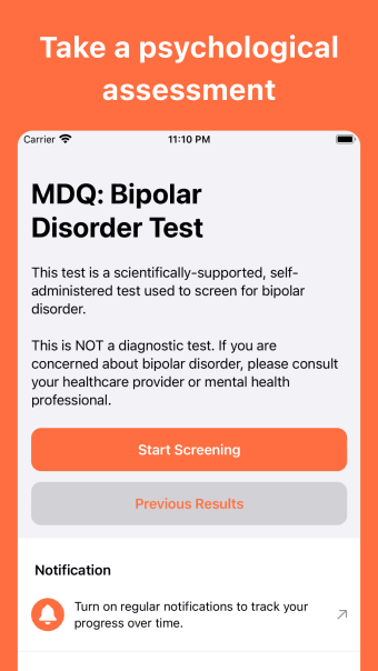 Bipolar Disorder Test