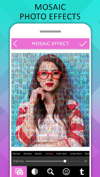 Mosaic Photo Effects