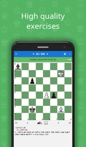 Chess Endgame Studies