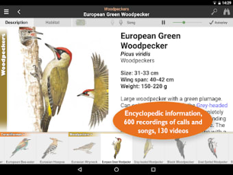 Birds of Europe: Identification habitat calls