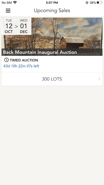 Back Mountain Auctions