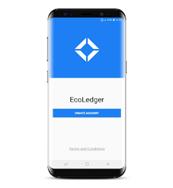 EcoLedger - EcoCash Statements