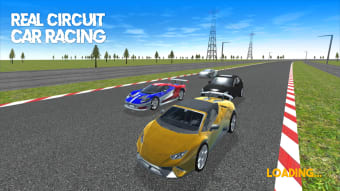 The Real Circuit Car Racing