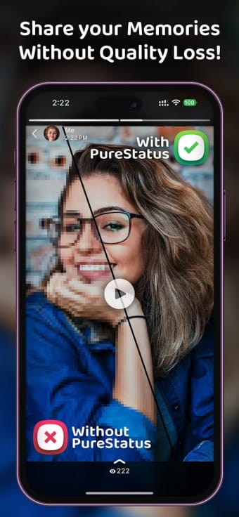 PurePixel HD Status Converter