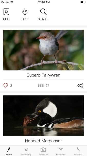Bird ID-PictureAudio
