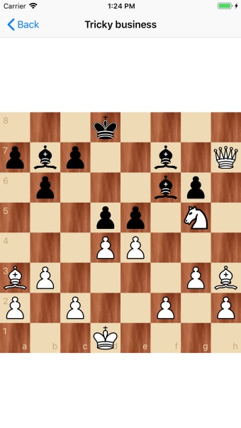 Chess puzzles