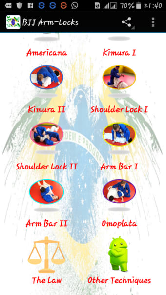 BJJ Arm-Locks