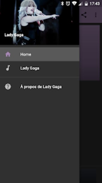 Lady Gaga mp3 Offline Best Hits