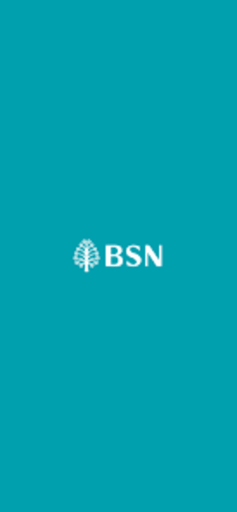 BSNSecure