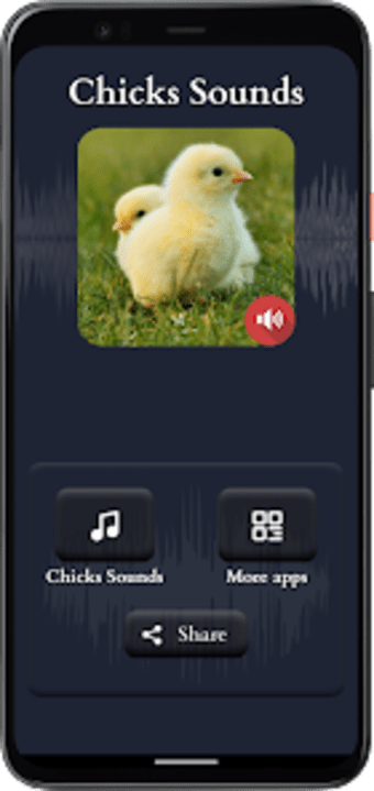 Chicks Sounds