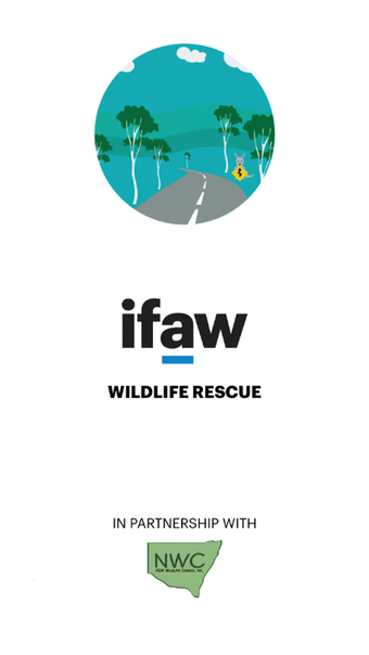 IFAW Wildlife Rescue