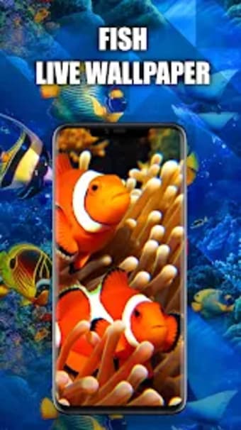 Fish Wallpaper Live HD3D4K