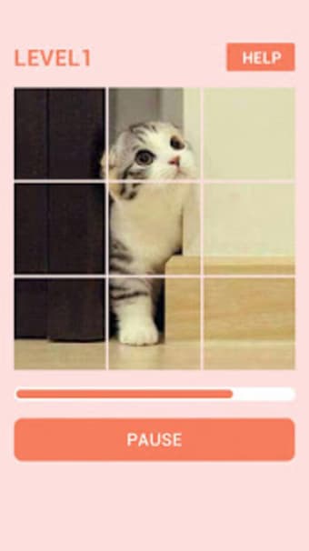 Puzzle Cute Cat - Swap Puzzle