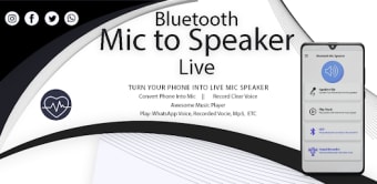 Microphone: Mic to Speaker