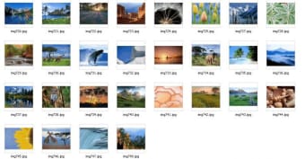 Windows Vista Starter Wallpapers