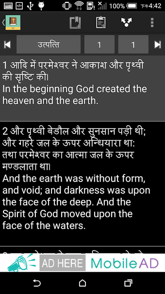 Hindi English Bible