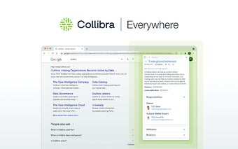 Collibra Browser Extension