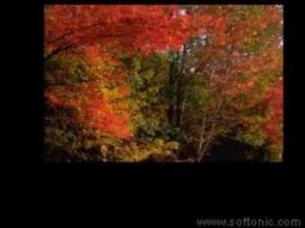 Autumn Lovers Supreme Screensaver