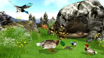 Virtual Duck Family Game 3D