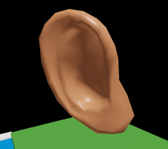 ear