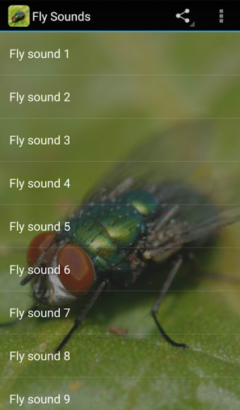 Fly Sounds Prank