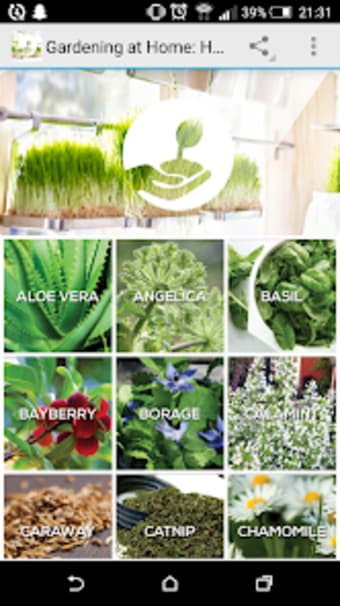 Gardening at Home: Herbs