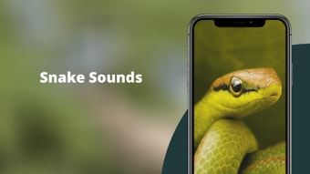 Snake Sounds