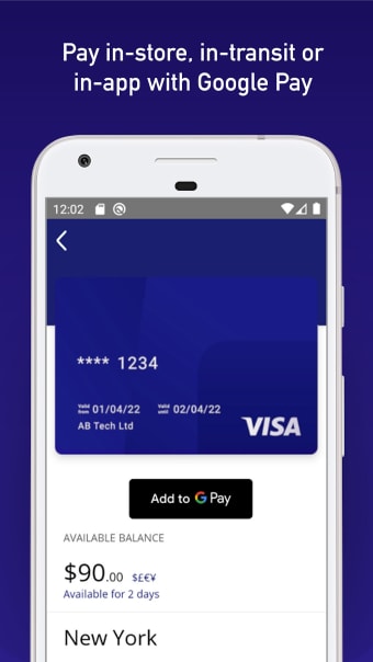 Visa Commercial Pay