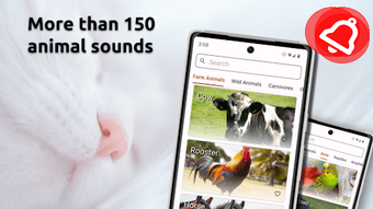 Animal Sounds