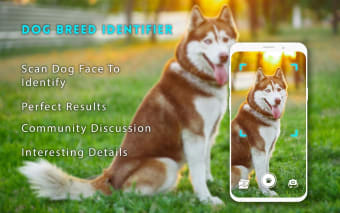 Dog breeds identifier, scanner app: Scan dogs