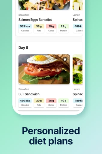 Calorie Counter to Lose Weight
