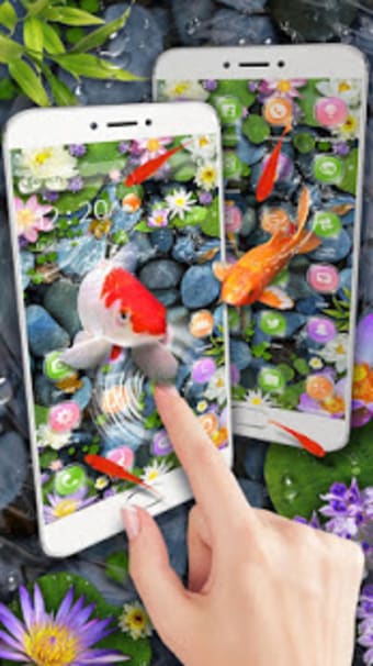 Koi Fish Aquarium 3D Theme