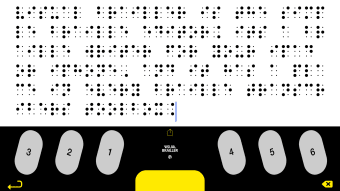 Visual Brailler