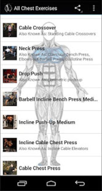 All Chest Exercises