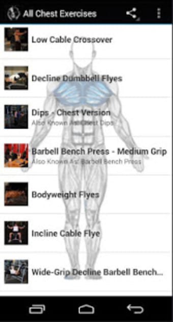 All Chest Exercises